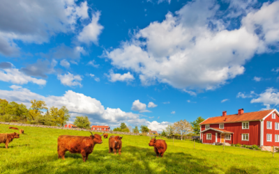 Bauernhöfe und Landhäuser: Leben auf dem Land