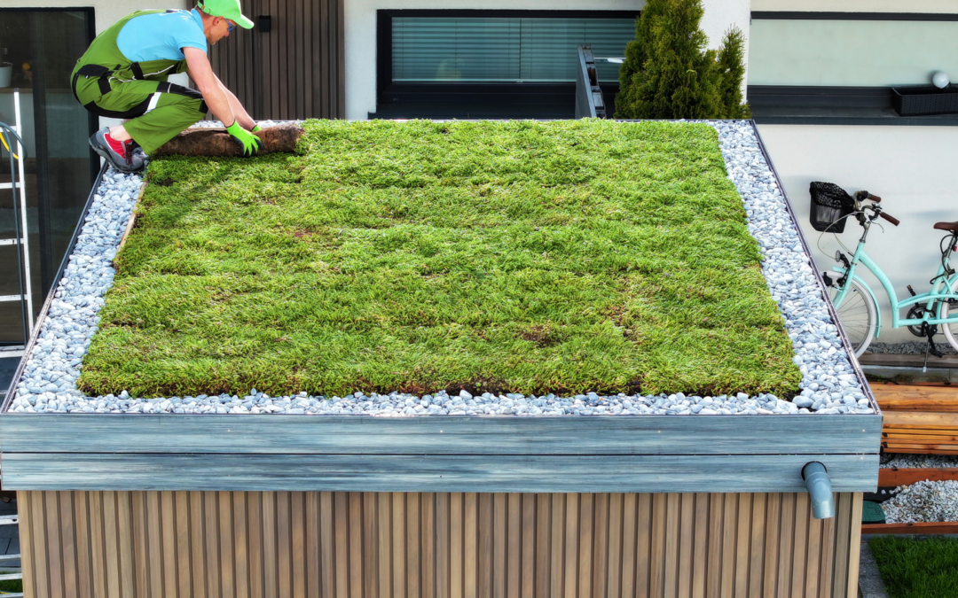 Grüne Dächer: Nachhaltige Architektur für eine bessere Umwelt