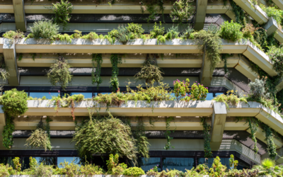Nachhaltigkeit im Immobilienbau: Die Bedeutung von grünen Gebäuden