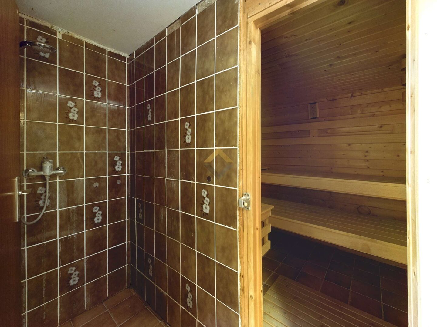 Sauna + Dusche im Keller