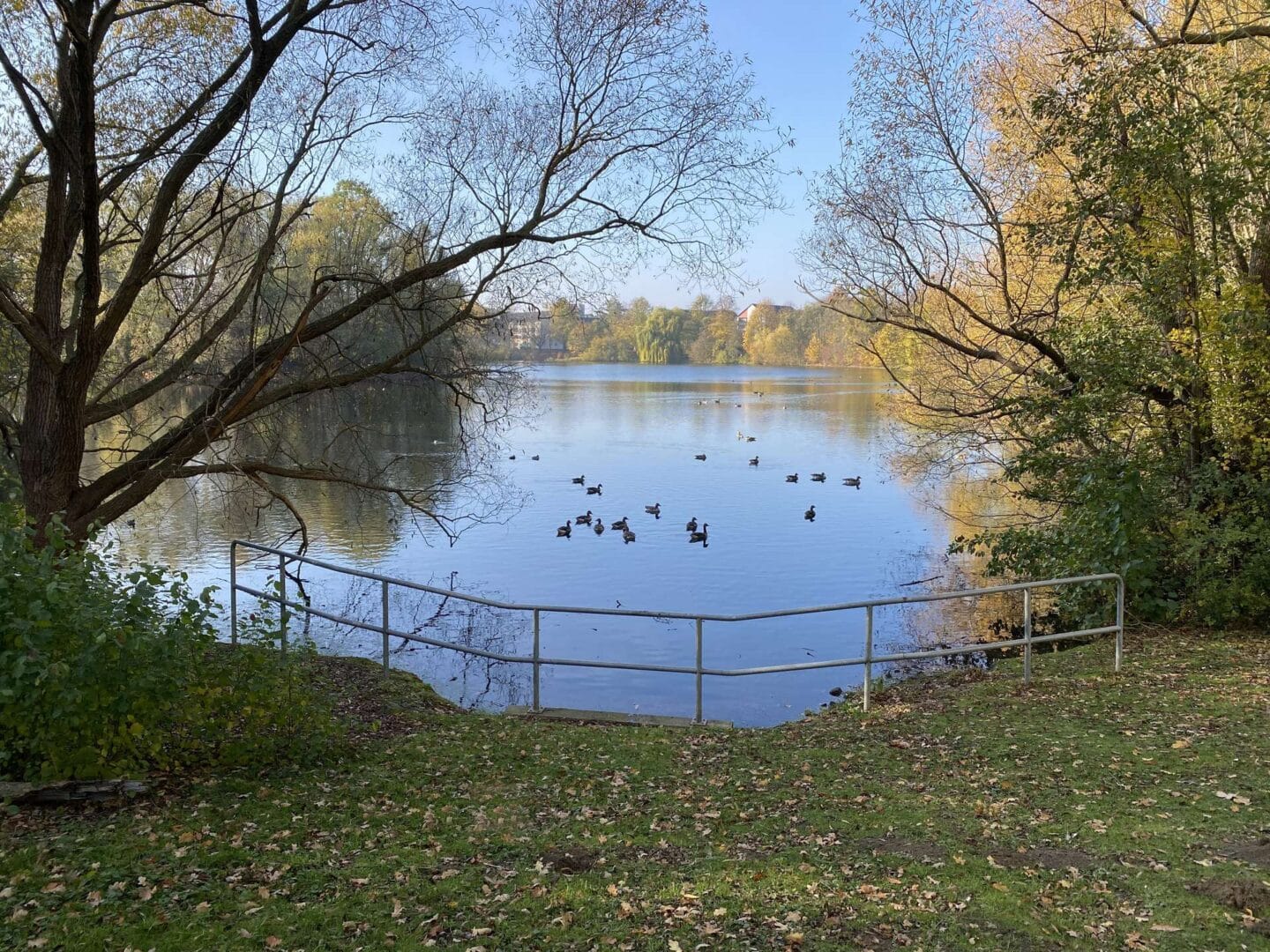 Teich