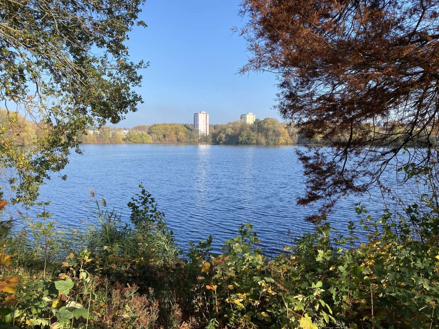 Blick über Teich zu der Wohnanlage