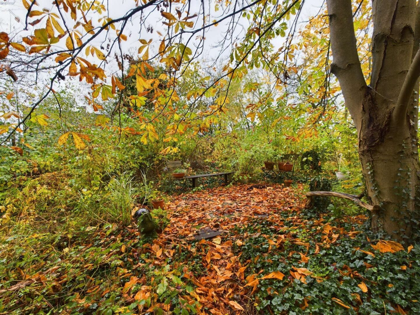 Garten