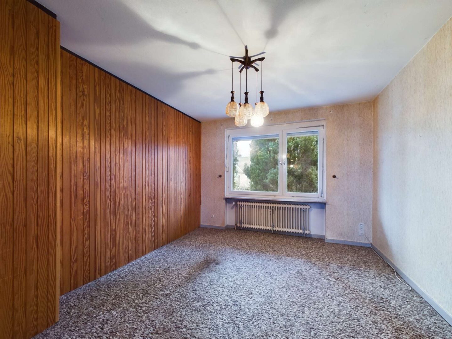 ZIMMER 1