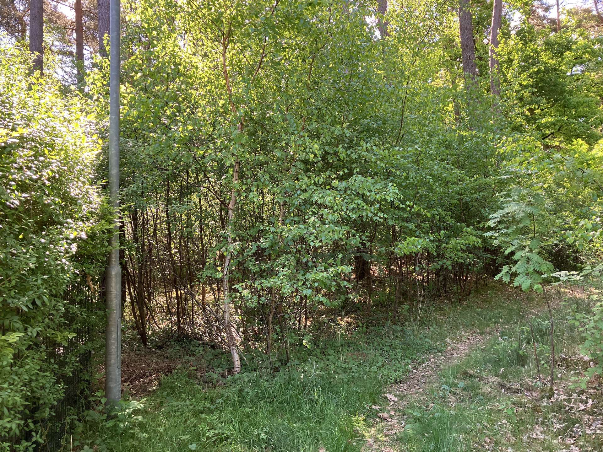 Ansicht Süd - Ost