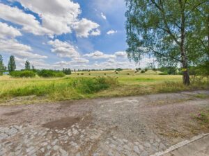 Wiesenblick