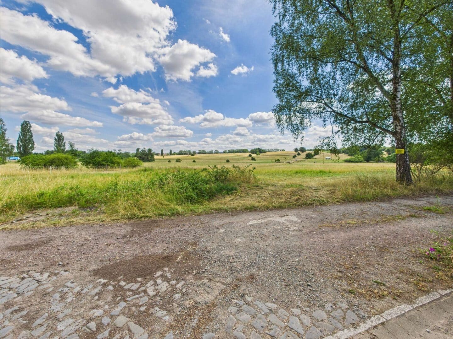 Wiesenblick