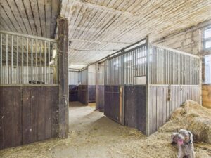 Stall