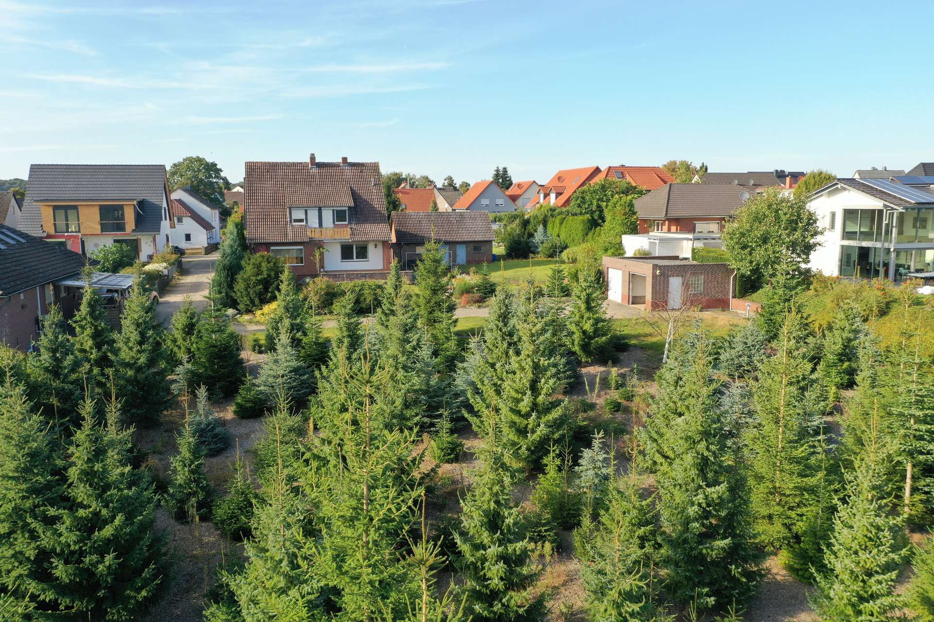 Hinteransicht