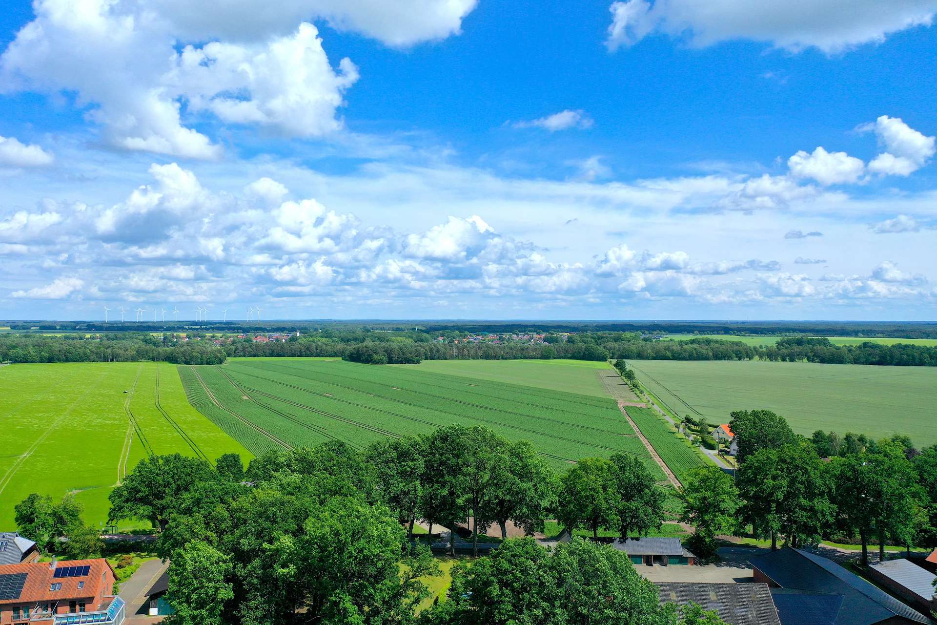 Umgebung