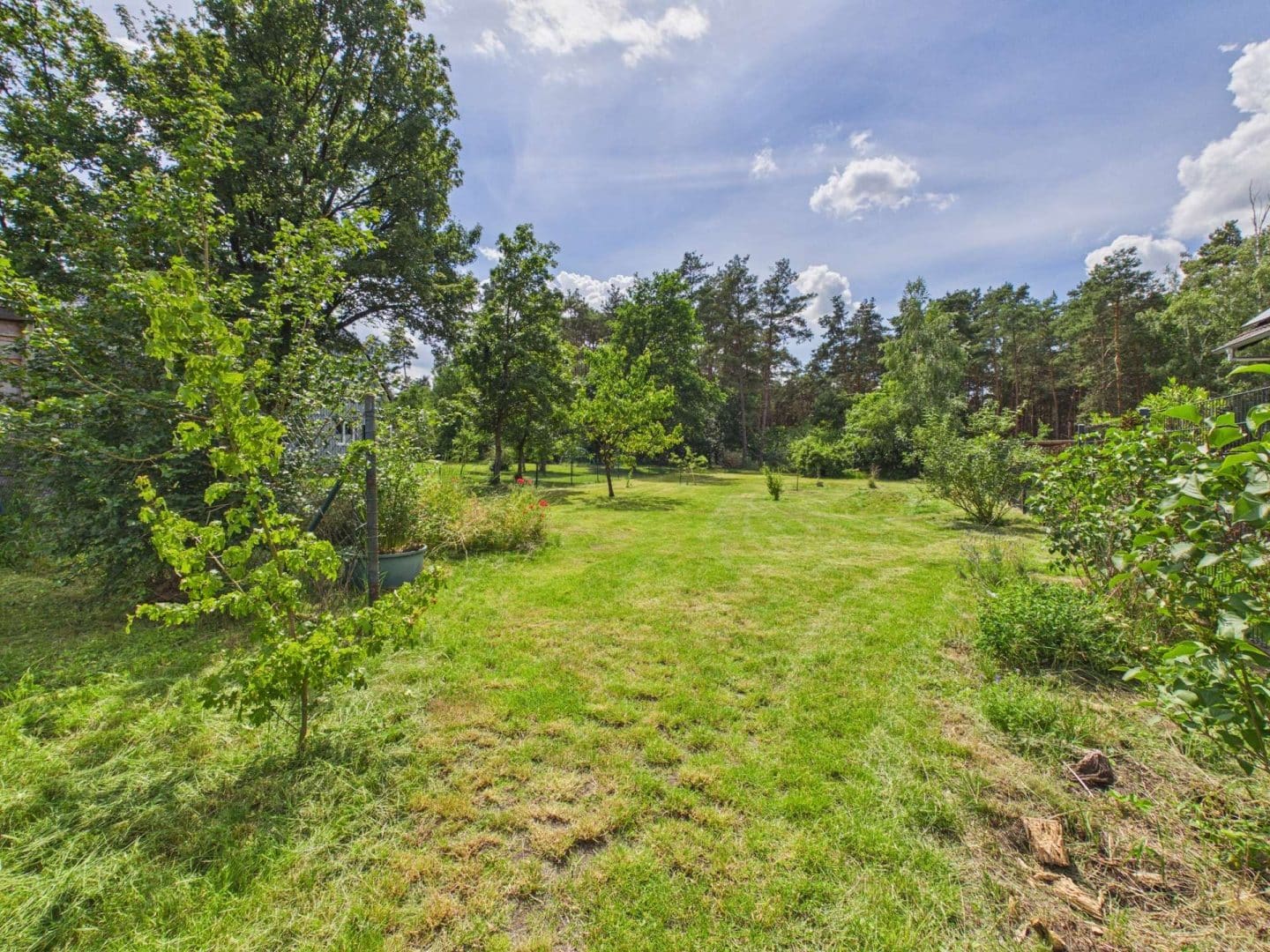 Gartenfläche