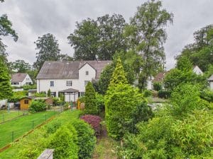 Blick in das grüne und gewachsene Wohnumfeld