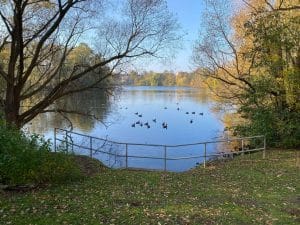 Teich