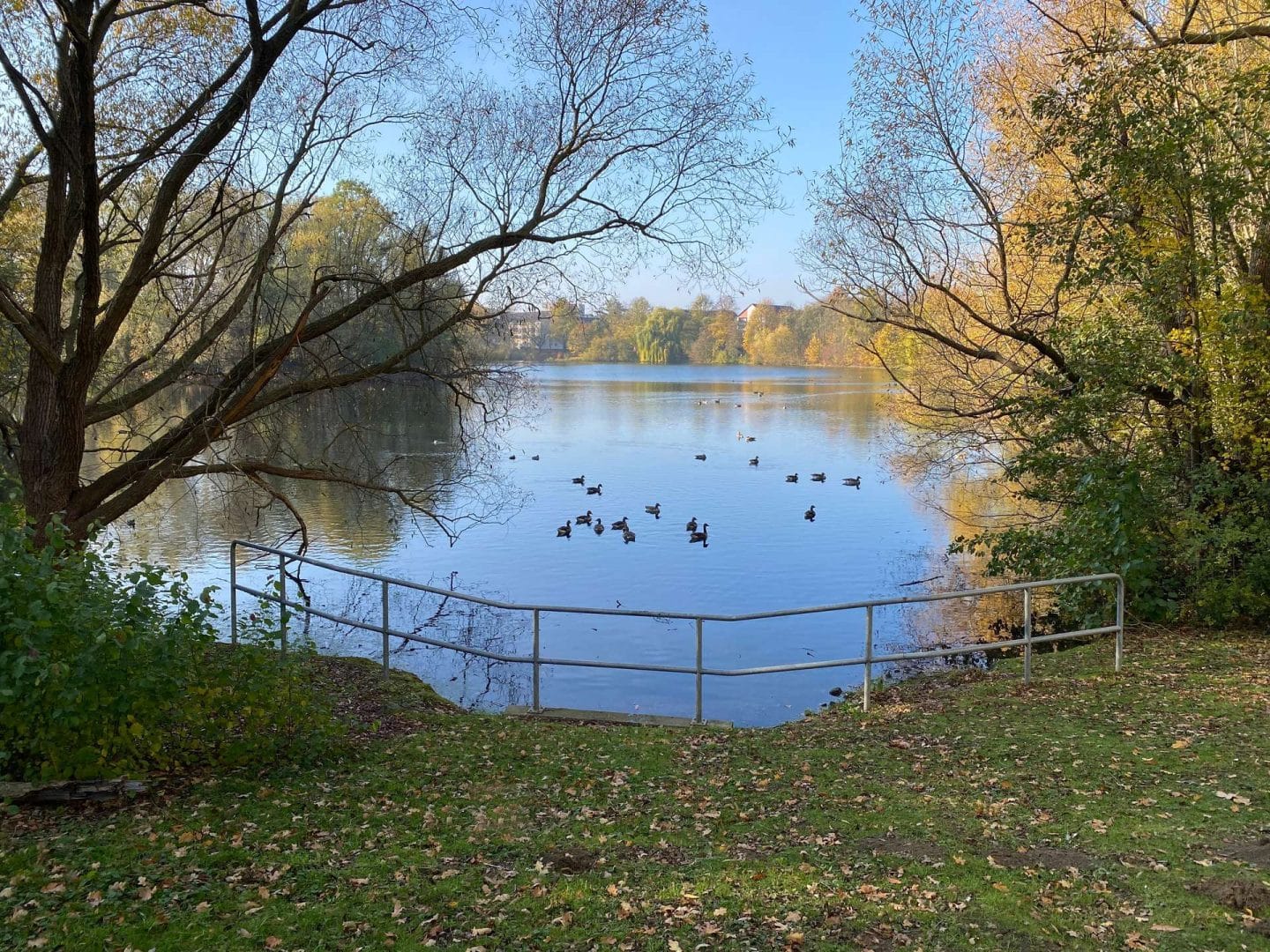 Teich