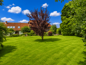 Garten
